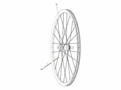 Sram Kit De 3 Rayons Pour Rail 50